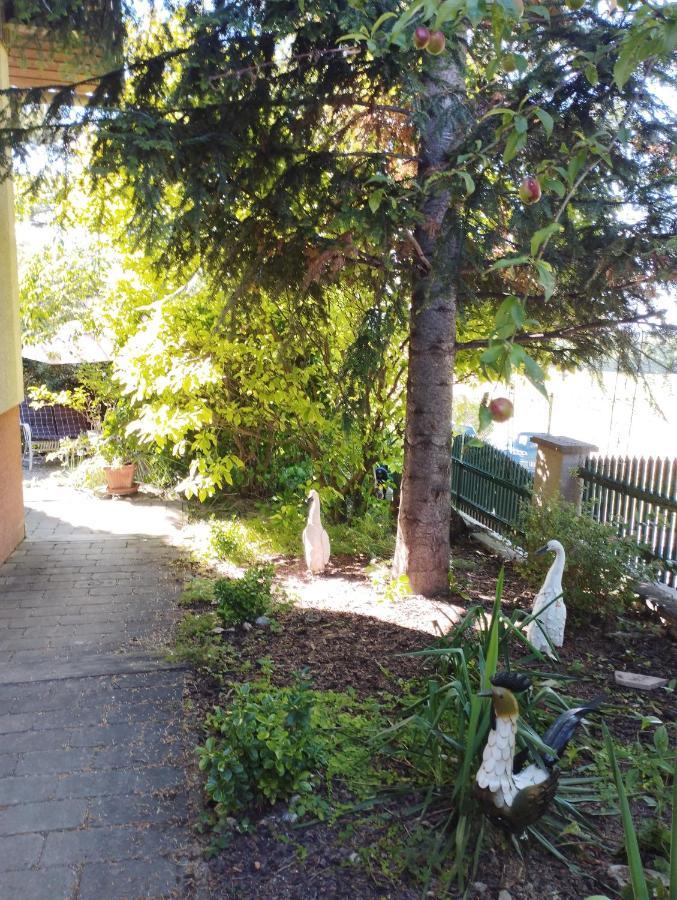 B&B Family Basement Apartment, Breakfast, Free Parking, 5Km From Tulln Chorherrn Eksteriør bilde