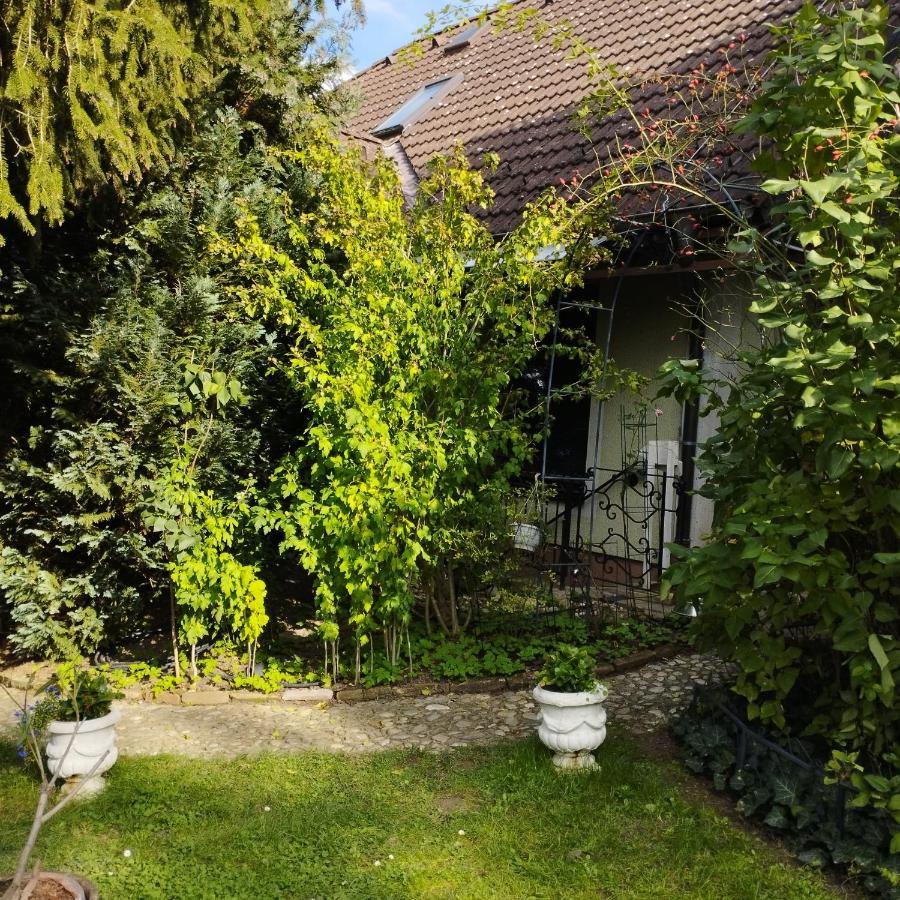 B&B Family Basement Apartment, Breakfast, Free Parking, 5Km From Tulln Chorherrn Eksteriør bilde